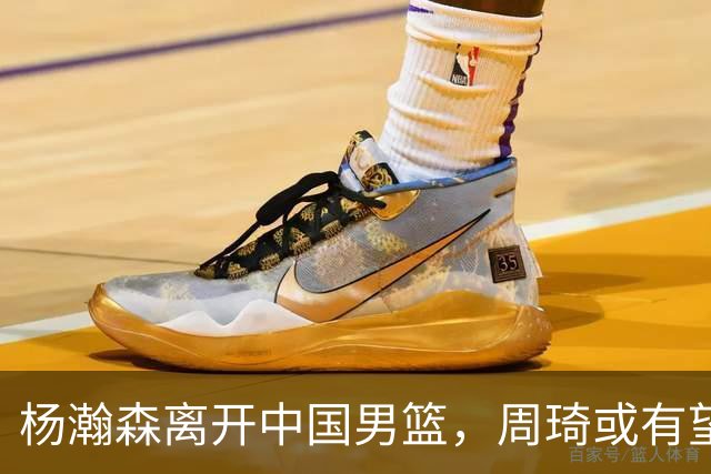杨瀚森离开中国男篮，周琦或有望重返国家队