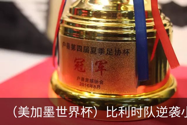 （美加墨世界杯）比利时队逆袭小组第一出线 伊朗队保留晋级希望
